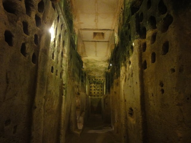 מערת קולומבריום -אופק עולמי,צילום דוד נתנאל - columbarium cave-Ofek olami,DavidNethanel