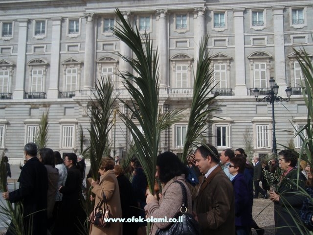 חגיגות יום ראשון של הדקלים במדריד ליד ארמון המלך-אופק עולמי,צילום דוד נתנאל -Dominica palmarum in Madrid Spain-ofek olami,David Nethanel