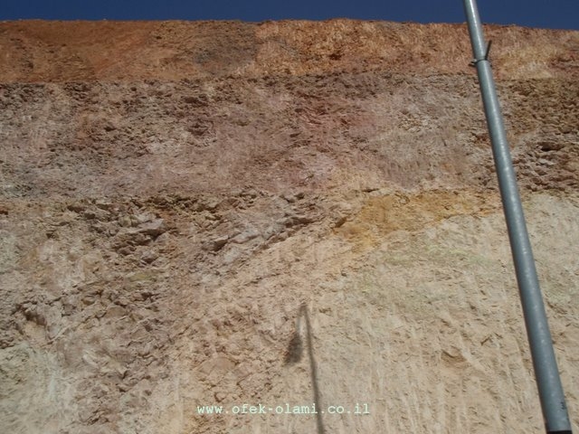 פצלי שמן המשמשים להפקת אנרגיה -אופק עולמי,צילום דוד נתנאל -Oil shale is  rock contains significant amounts of kerogen-Ofek-Olami
