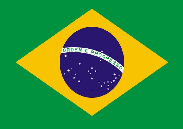 דגל ברזיל -אופק עולמי Brasilian flag -Ofek  Olami