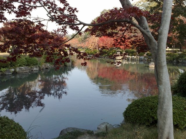 גן זן בקיוטו יפאן -אופק עולמי,צילום דוד נתנאל - Zen garden Kyoto,Japan -Ofek-Olami