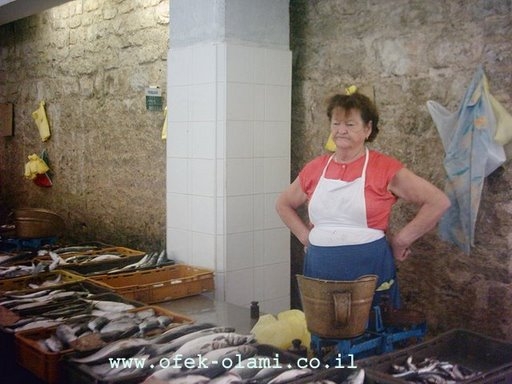 מוכרת דגים תשושה בשוק הצבעוני של זאדאר קרואטיה-אופק עולמי צילום דוד נתנאל-Fish Market Croatia -Ofek-Olami