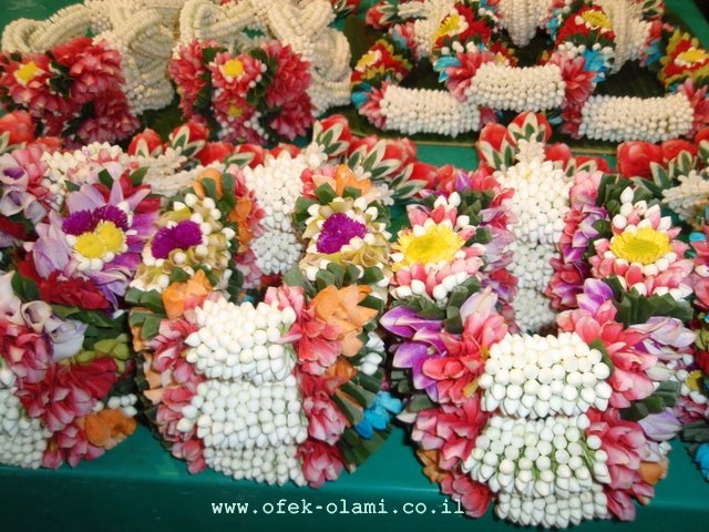 שוק הפרחים הססגוני והמרהיב של בנגקוק,תאילנד -אופק עולמי,צילום דוד נתנאל -Colorfull flowers market,Bangkok,Thailand -Ofek-Olami