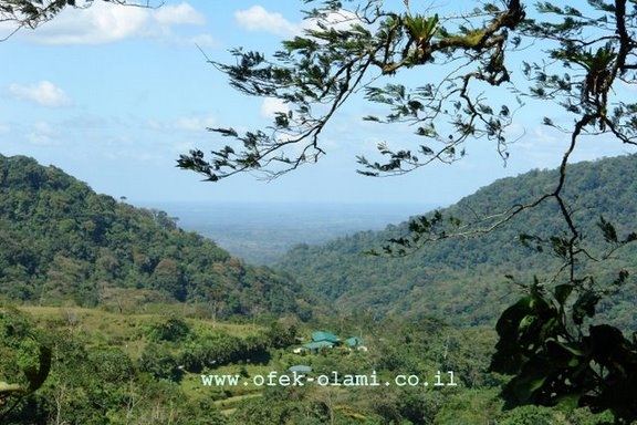 יער העננים בקוסטה ריקה,אופק עולמי -Cloud forest Costa Rica -Ofek-Olami