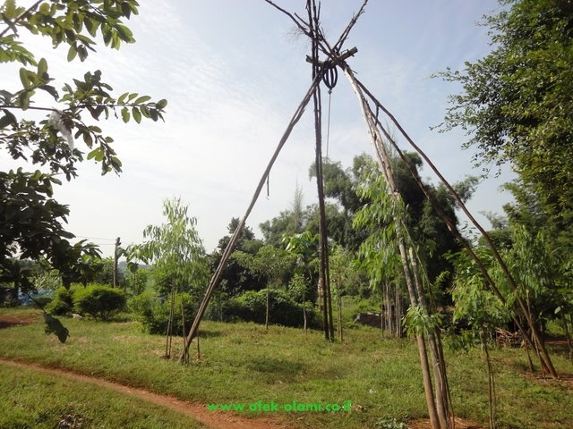 המתקן דמוי הפירמידה עליו מותקנות נדנדות בפסטיבל הנדנדות-אופק עולמי,צילום דוד נתנאל -Swing at Akha village used in Swing Festival-Ofek-Olami