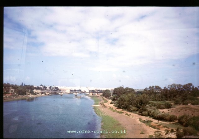 נהר אום אל רביע,הארוך בנהרות מרוקו-אופק עולמי,צילום דוד נתנאל -Umarabia longest river in morocco-Ofek-Olami