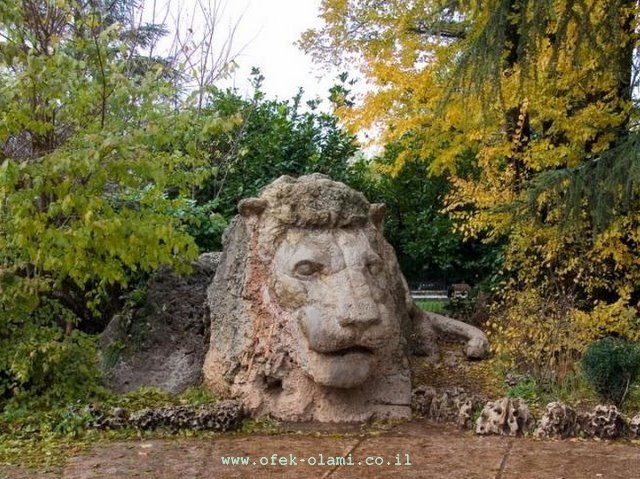 האריה סמל העיר איפראן -אופק עולמי -The lion Ifran's emblen -Ofek-Olami