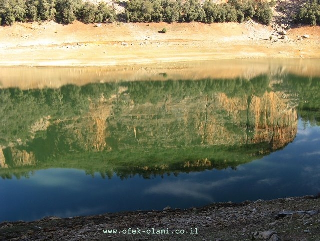 אגם אגוולמאם דרומית לאיפראן,מרוקו.-אופק עולמי -Augelmame lake south to Ifrane,Morocco -Ofek-Olami