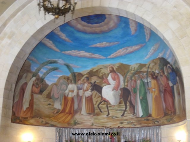 ישו נכנס לירושלים כמשיח - אופק עולמי,צילום דוד נתנאל -Jesus christ enter to Jerusalem -Ofek-olami,David Nethanel