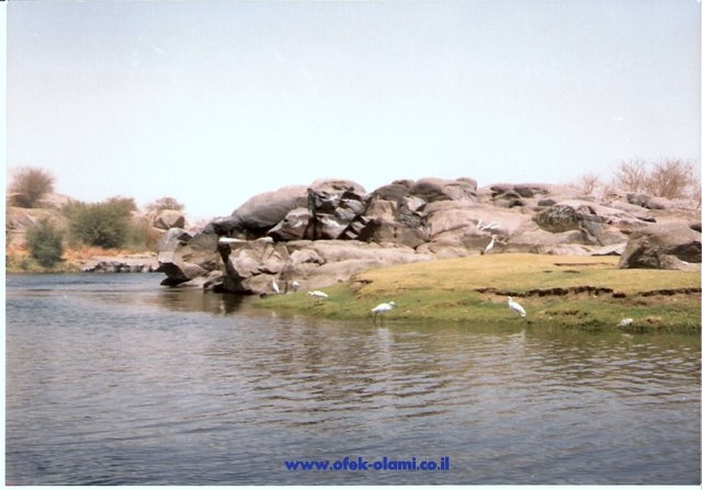 אי בנילוס ליד אסוואן -אופק עולמי,צילום דוד נתנאל -Island of the Nile river near Aswan -Ofek olami,David Nethanel
